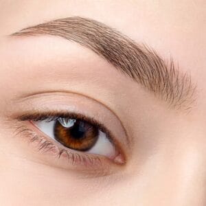 Gros plan d'un sourcil parfait avec un effet poil à poil, résultat de la technique de dermopigmentation à la machine.